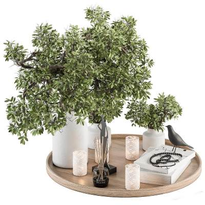 现代桌面摆件 植物 花瓶 托盘